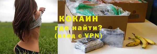 дживик Абаза
