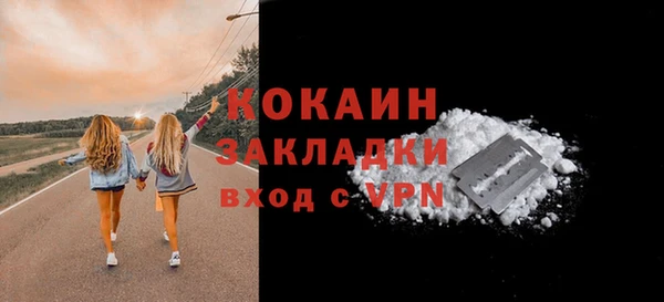 дживик Абаза